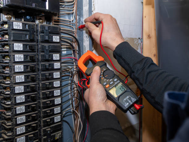 Best Electrician for Home Renovation  in Raymond, WI