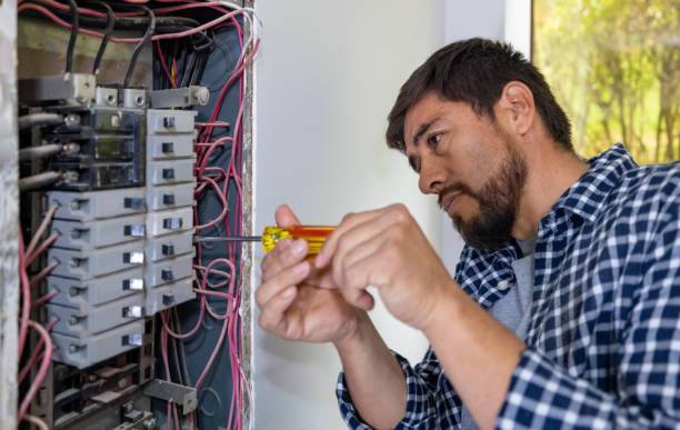 Best Electric Panel Repair  in Raymond, WI